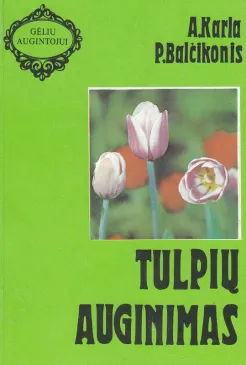 Tulpių auginimas