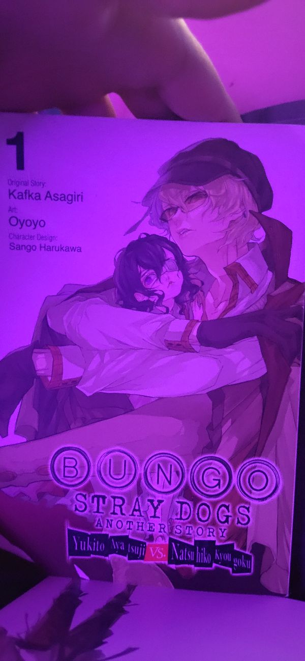 Bungo Stray Dogs: Another Story Vol. 1