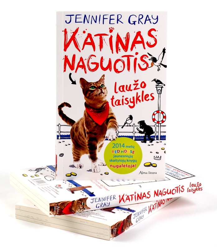 Katinas Naguotis laužo taisykles