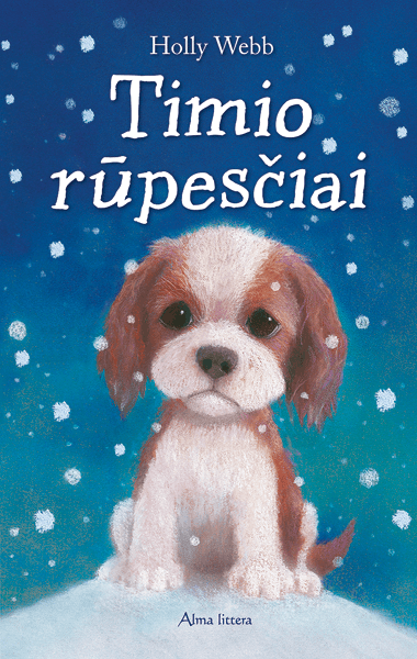 Timio rūpesčiai