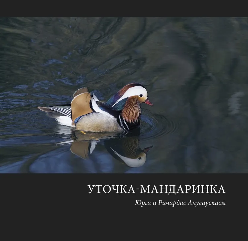 Уточка-мандаринка