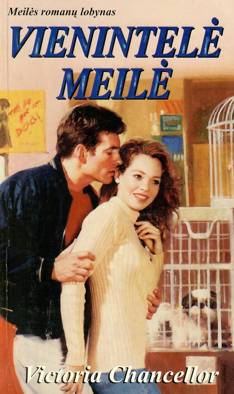 Vienintelė meilė. Meilės romanų lobynas