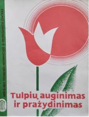 Tulpių auginimas ir pražydinimas