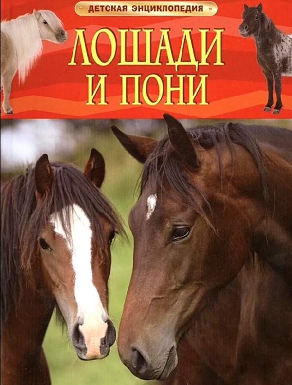 Лошади и пони