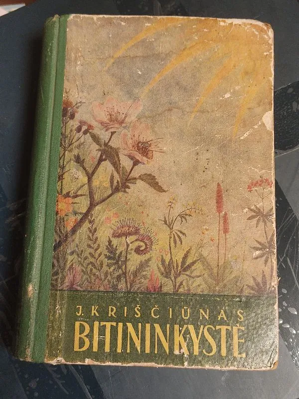 Bitininkystė