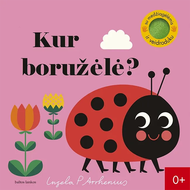Kur boružėlė?