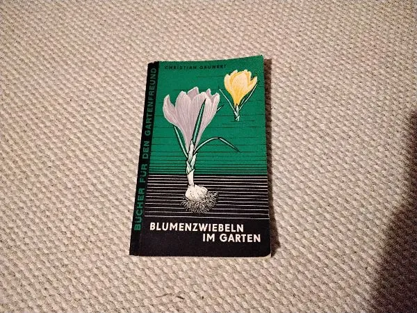 Blumenzwiebeln im Garten