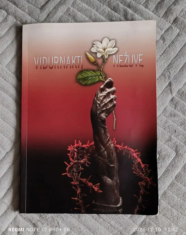 Vidurnaktį nežuvę