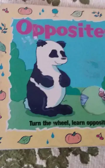 Turn The Wheel Book