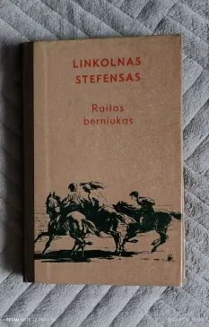 Raitas berniukas