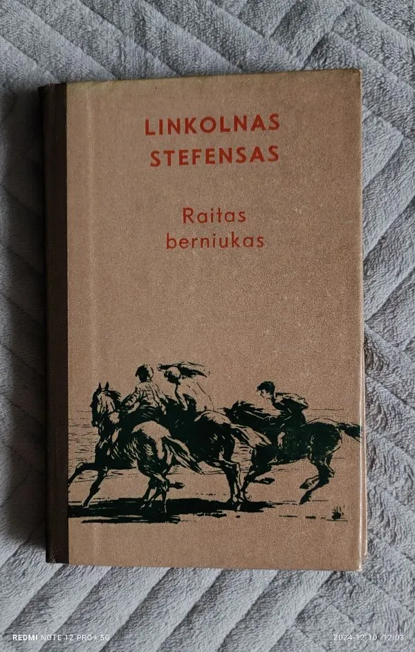 Raitas berniukas