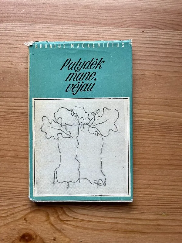 Palydėk mane, vėjau