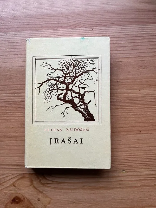 Įrašai