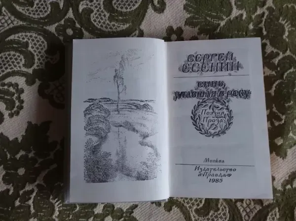 Синь, упавшая в реку