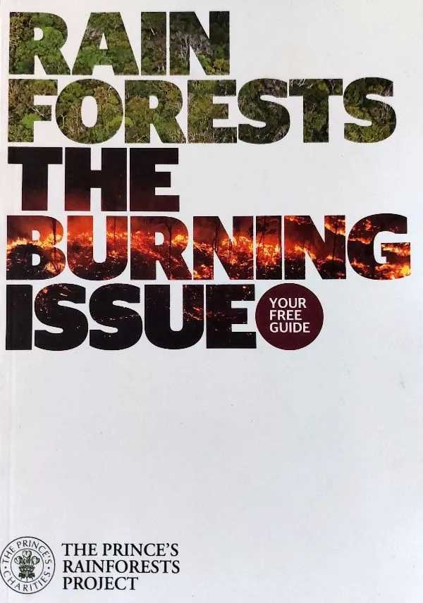 Rain Forests The Burning Issue