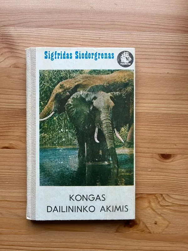 Kongas dailininko akimis