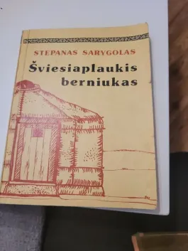 Šviesiaplaukis berniukas