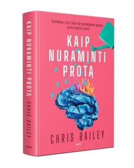 KAIP NURAMINTI PROTĄ