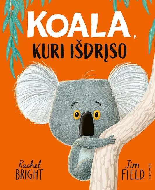 Koala, kuri išdrįso