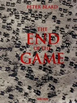 The End of the Game