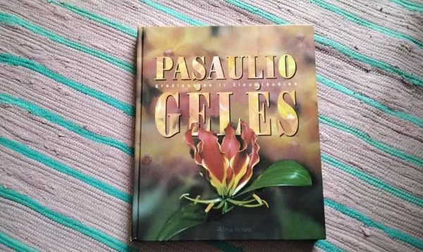 Pasaulio gražiausios ir žinomiausios gėlės
