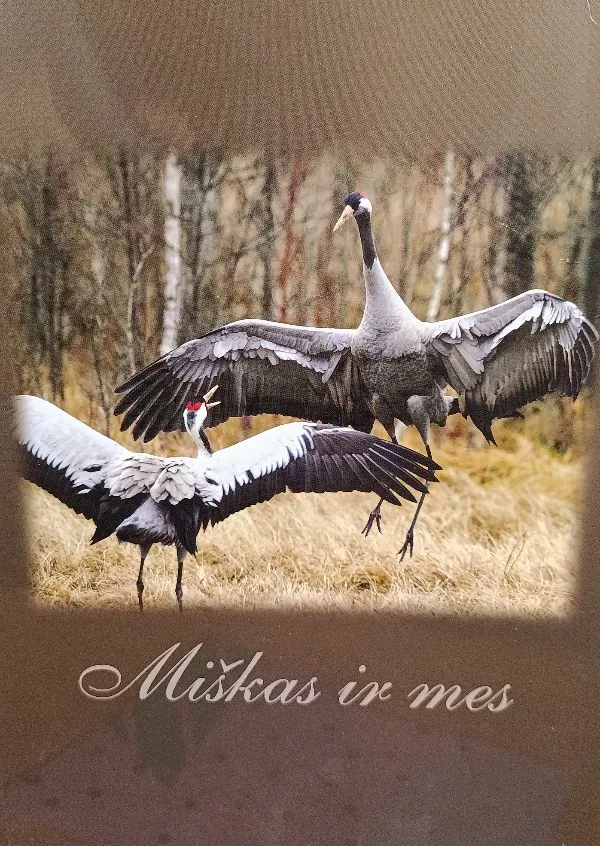 Miškas ir mes (2013)