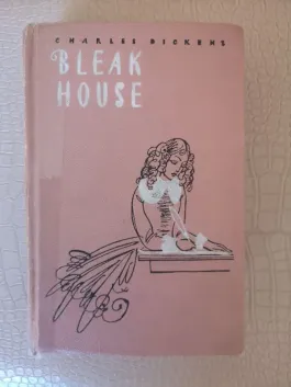 Bleak house