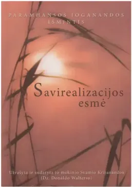 Savirealizacijos esmė