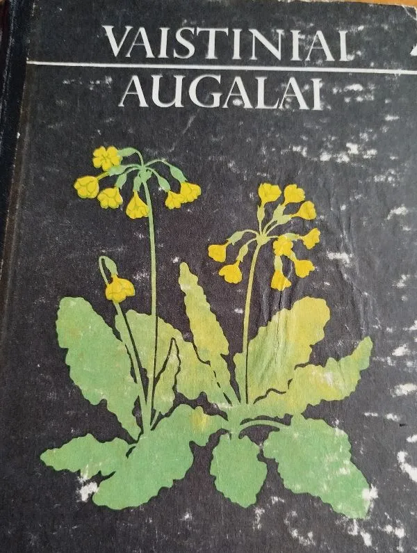 Vaistiniai augalai