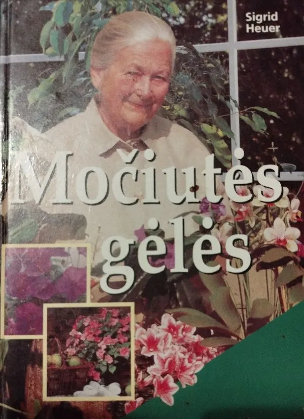 Močiutės gėlės