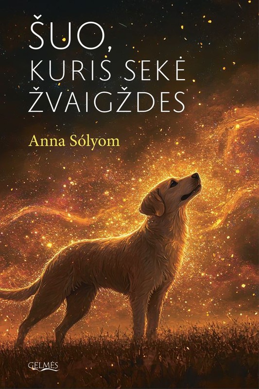 Šuo, kuris sekė žvaigždes