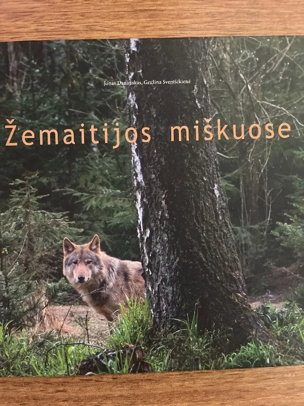 Žemaitijos miškuose