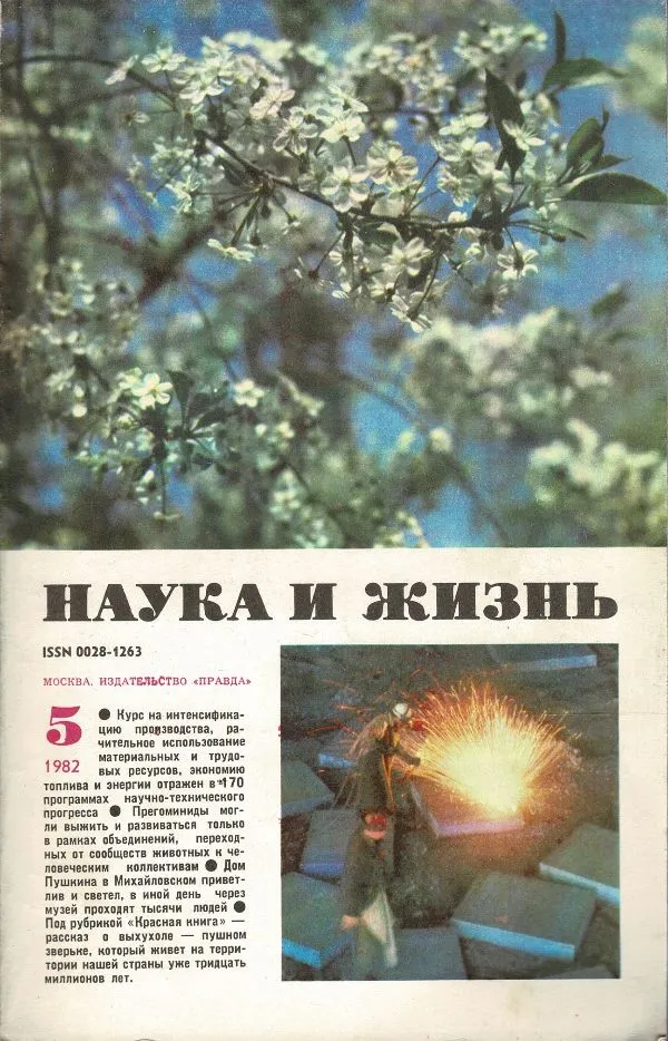 Наука и жизнь 1982 №5