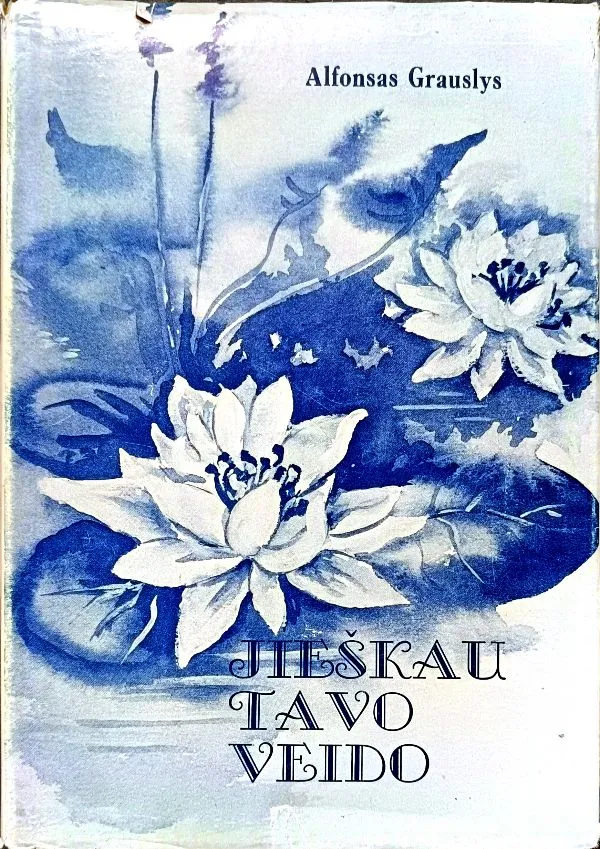 Ieškau Tavo veido