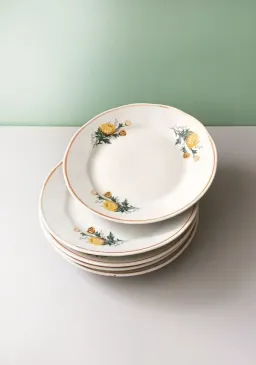 Desertinės lėkštutės, 17,5cm, 5vnt., RPR Riga