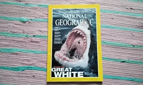 NATIONAL GEOGRAPHIC INSIDE THE GREAT WHITE