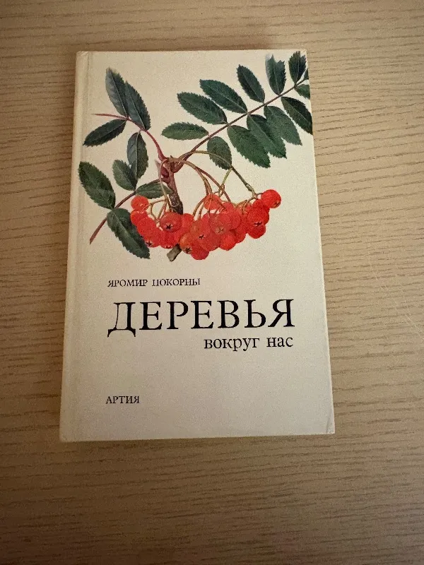 Medžiai aplink mus ( rusų k.)