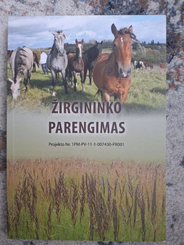 Žirgininko parengimas