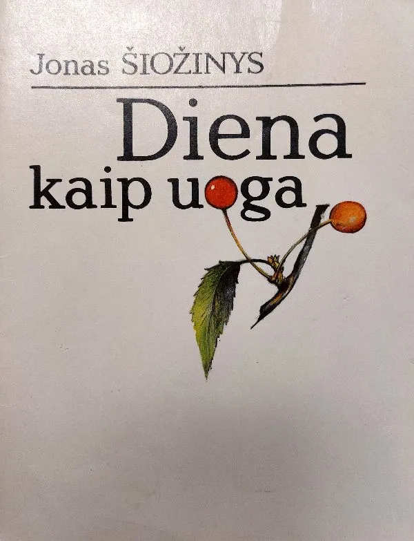 Diena kaip uoga