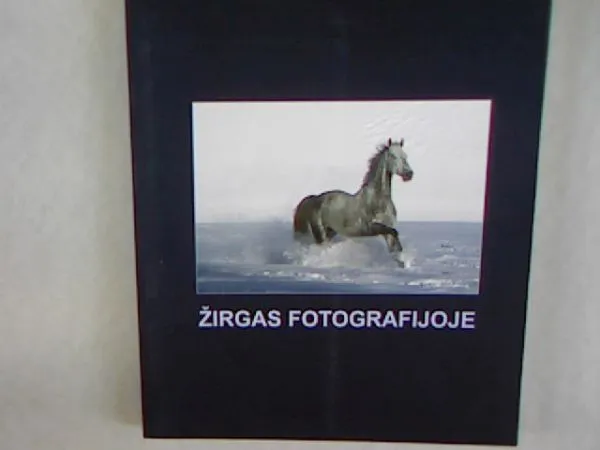 Žirgas fotografijoje (2013)