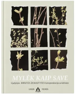 Mylėk kaip save
