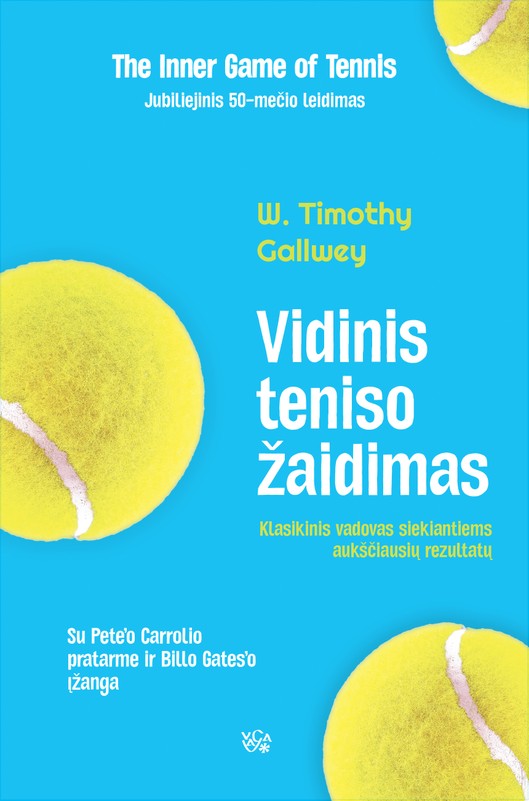 VIDINIS TENISO ŽAIDIMAS