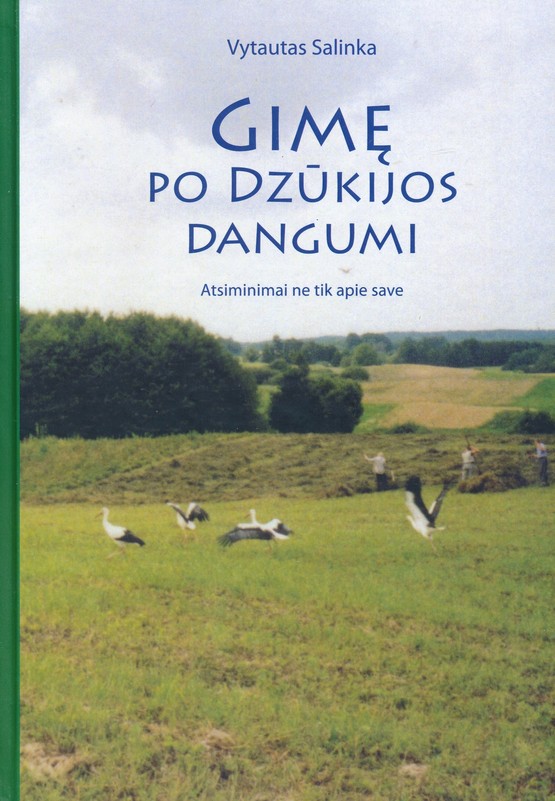 Gimę po Dzūkijos dangumi