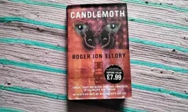 Candlemoth