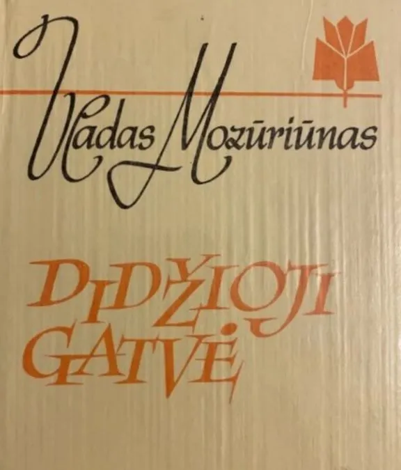 Didžioji gatvė
