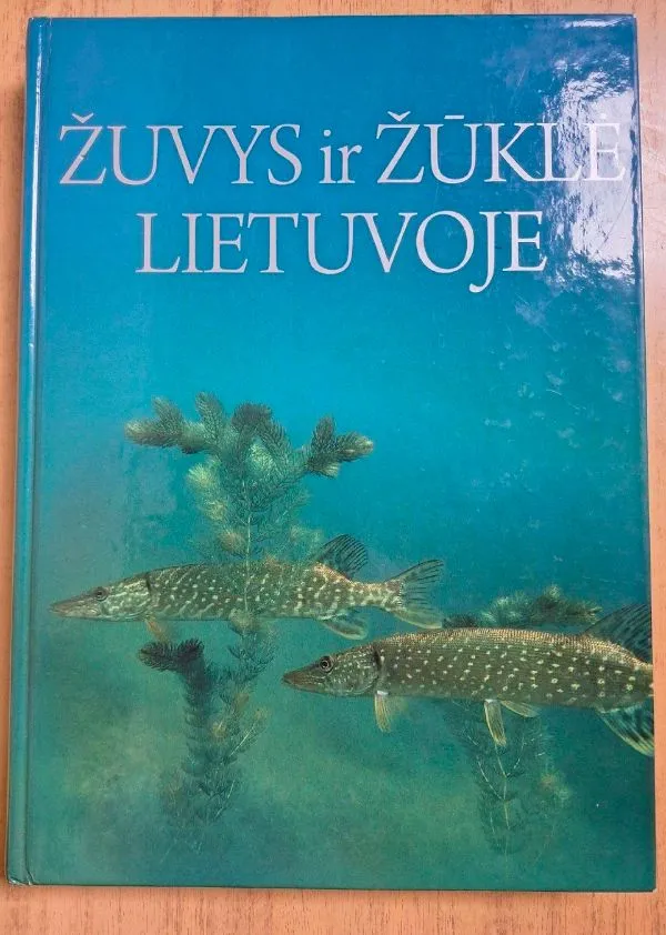 Žuvys ir žūklė Lietuvoje