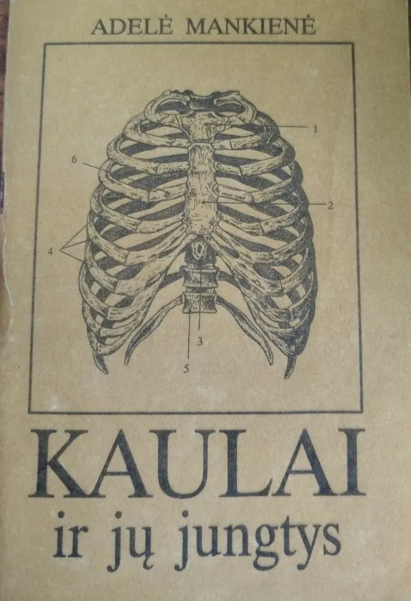 Kaulai ir jų jungtys.