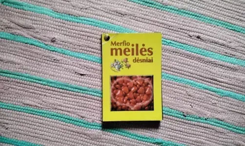 Merfio meilės dėsniai