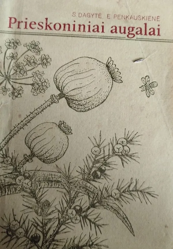 Prieskoniniai aygalai
