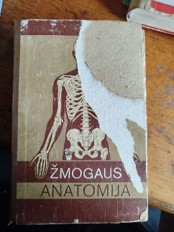 Žmogaus anatomija